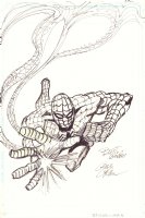 Spider-Man Web-Slinging Commission - Signed Comic Art