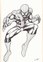 Spider-Man Full Figure Commission - 2008 Signed Comic Art