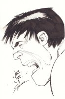 Hulk Side Portrait - Signed Comic Art