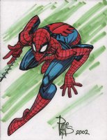 Spider-Man Color Commission - Signed - 2002 Comic Art