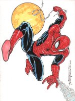 Spider-Man Color Commission - Signed - 2022 Comic Art