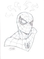 Spider-Man Spidey Sense Pencil Commission - Signed Comic Art