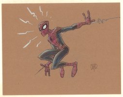 Spider-Man Color Commission - Signed Comic Art