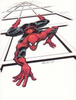 Spider-Man Color Art Commission - A - 2019 Signed Comic Art
