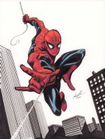 Spider-Man Color Art Commission - B - 2019 Signed Comic Art