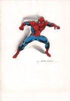 Spider-Man Hand Colored Print  Comic Art