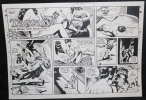 Tarzan Sunday Strip (Russ Manning's File Copy) STAT #2430 - 10/2/1977 Comic Art