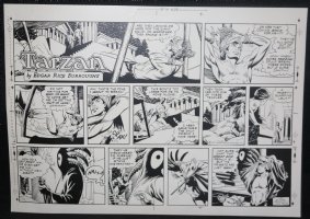 Tarzan Sunday Strip (Russ Manning's File Copy) STAT #2438 - Korak - 11/27/1977 Comic Art