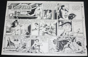 Tarzan Sunday Strip (Russ Manning's File Copy) STAT #1993 - 5/18 Comic Art