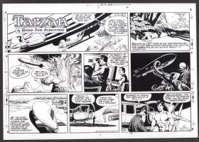 Tarzan Sunday Strip (Russ Manning's File Copy) STAT #2448 - 2/5/1978 Comic Art