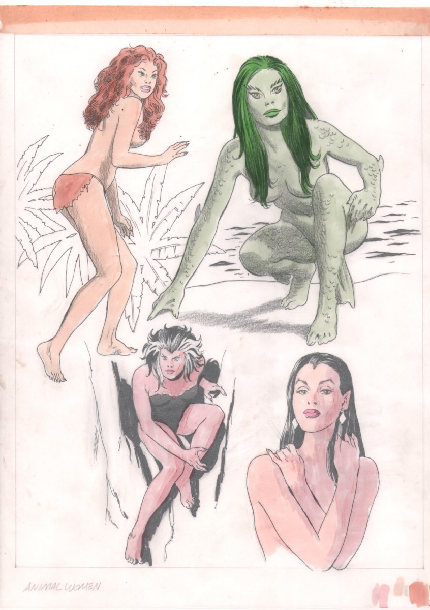 Image of How To Draw Comic Book Heroes & Villains 'Animal Women' Page