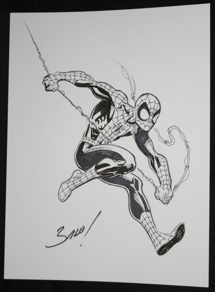 Spider-Man Commission - Signed by Mark Bagley